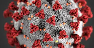 PRUEBA DE ANTÍGENO COVID-19 PARA VIAJEROS EN CUSCO