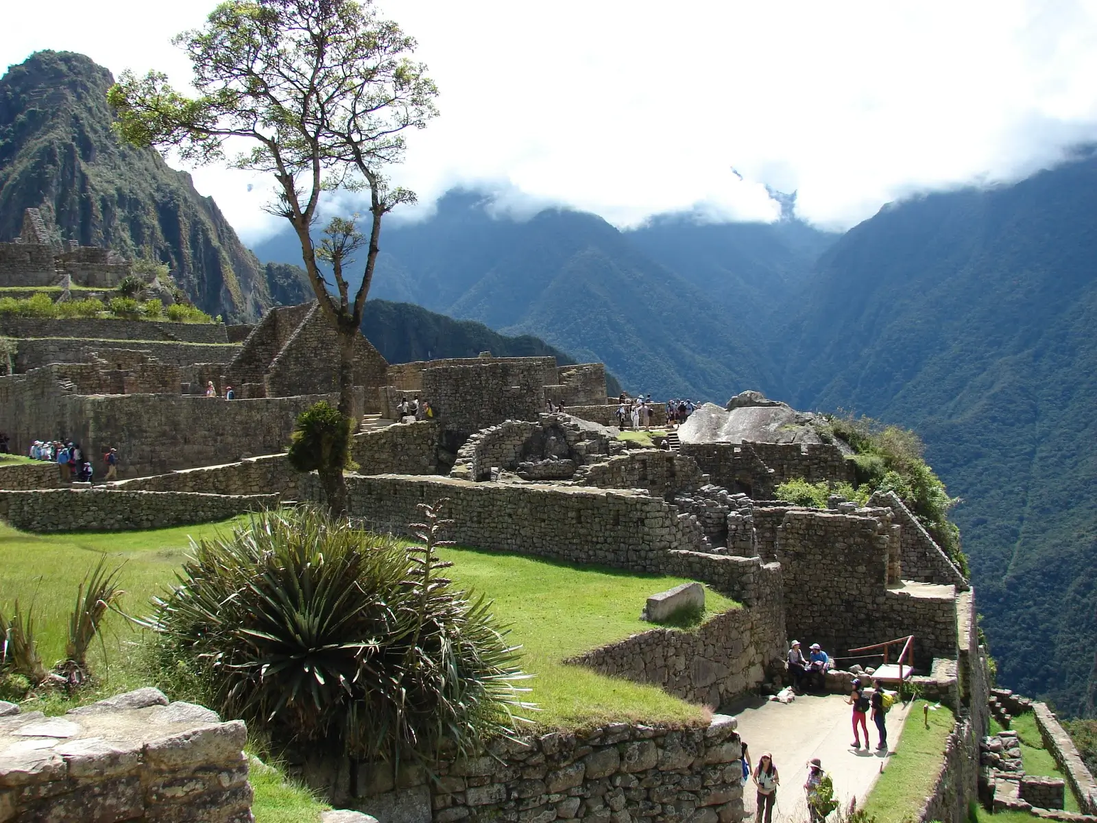 Machu Picchu Circuit 3 Pisonay Plaza photo